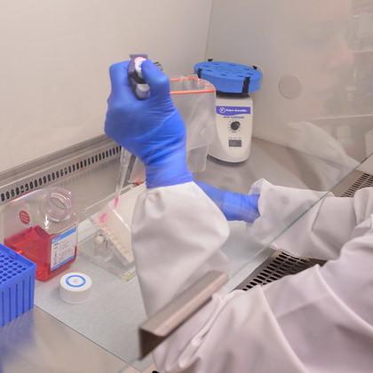 Blue-gloved hands pipetting in a sterile hood in the Oregon Veterinary Diagnostic Laboratory