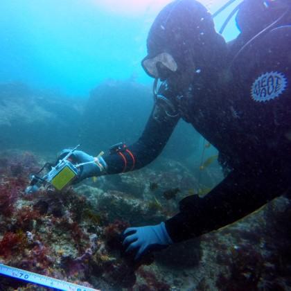 Checking seafloor rugosity