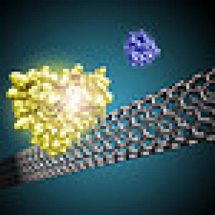 Nanotube sensor