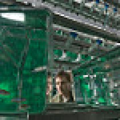 high tech zebrafish research