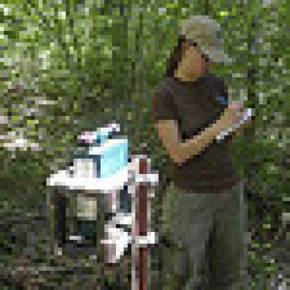 Forest monitoring