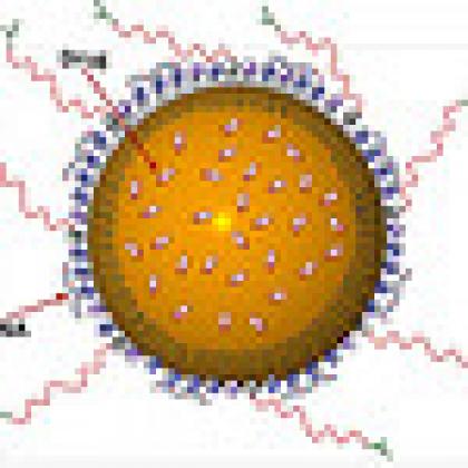 Nanocarrier