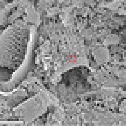 Silicon nanostructure