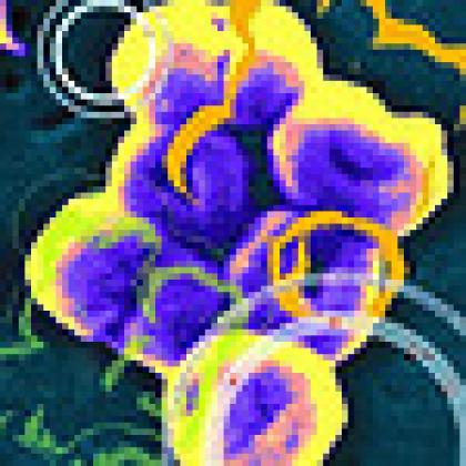 Bacteria