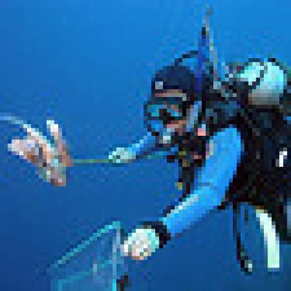 Diver and lionfish