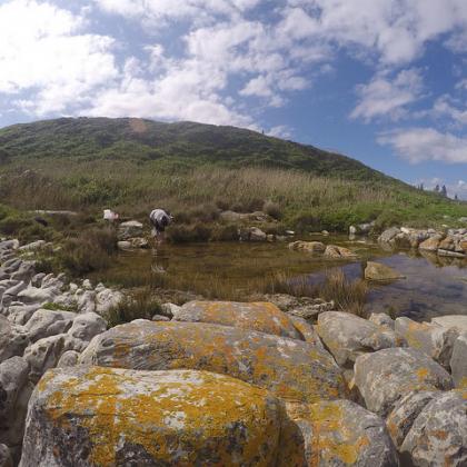 Stromatolite pool