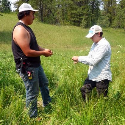 Braiding sweetgrass
