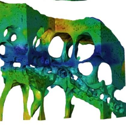 Nanoscale mouse joint image