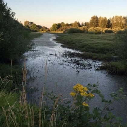 River
