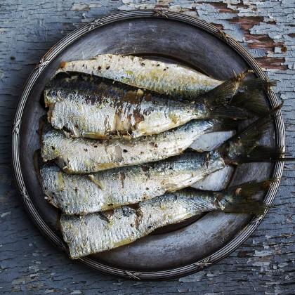 Sardines, pic courtesy Costello lab, UCSB