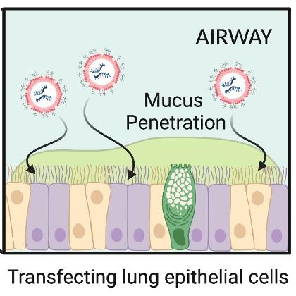 mRNA therapy graphic