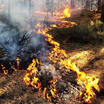 2019 Boundary Prescribed Burn, Fremont-Winema National Forest, photo by Skye Greenler, OSU College of Forestry.