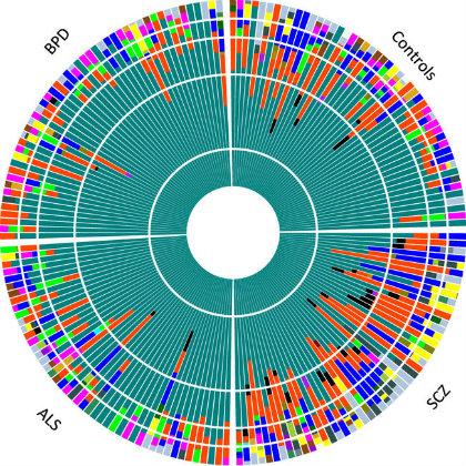 Microbial diversity