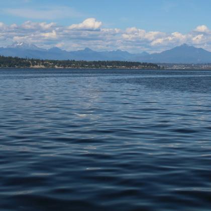 ocean