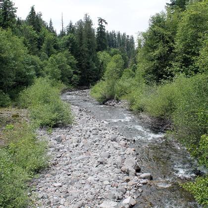 Lookout Creek