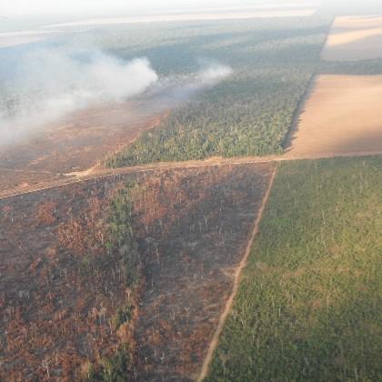Burned and fragmented forest in Amazon