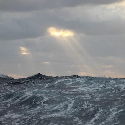 North Atlantic, photo courtesy Luis Bolaños, OSU