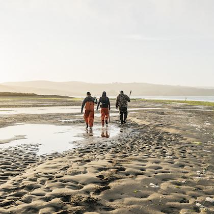 Image shows 3 oyster fishermen in orange waterproof overalls walking over wet sand at Hog Island Oyster Farm, shovels slung over their shoulders.