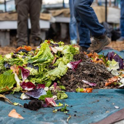 Organic material for a compost pile.