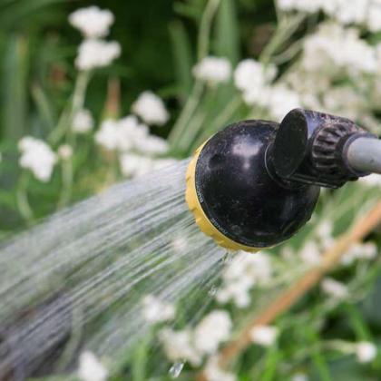 watering garden