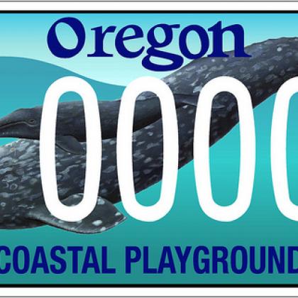 license plate featuring a gray whale and her calf